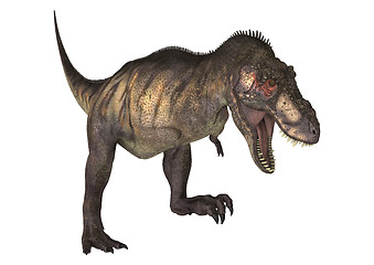 Image showing Dinosaur Tyrannosaurus