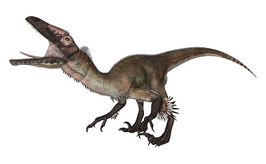 Image showing Dinosaur Utahraptor