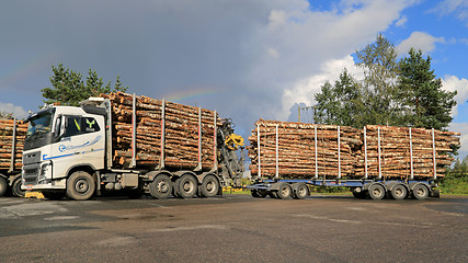 Image showing Volvo FH16 700 Birch Timber Transport