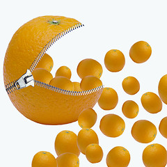 Image showing many oranges