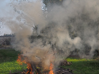 Image showing Burning fire