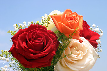 Image showing Roses