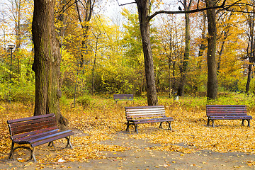 Image showing Fall in public park