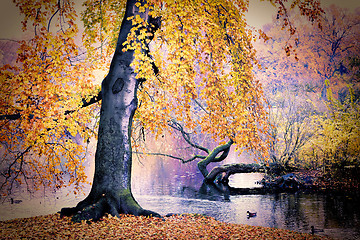 Image showing Pond in the park