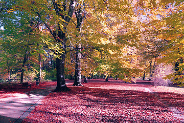 Image showing Fall in public park