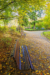 Image showing Fall in public park