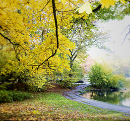 Image showing Fall in public park