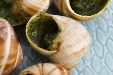 Image showing Close up of Escargots with garlic butter 