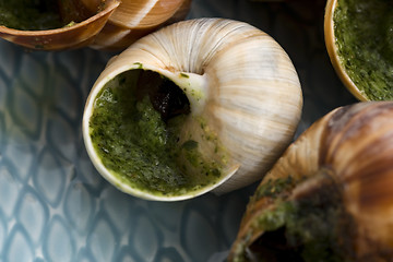 Image showing Close up of Escargots with garlic butter 