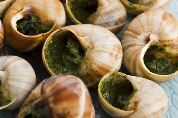 Image showing Close up of Escargots with garlic butter 