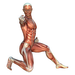 Image showing Muscle Maps