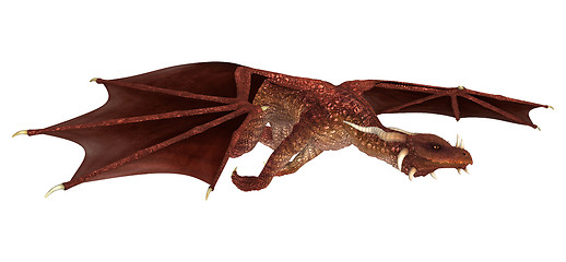 Image showing Red Dragon