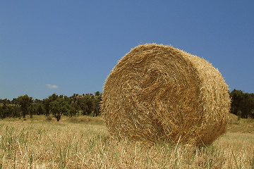 Image showing Haystack