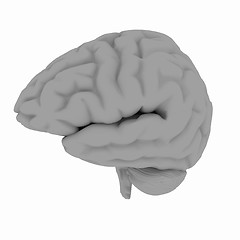 Image showing Human brain