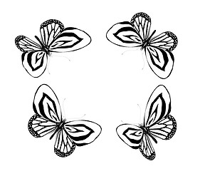 Image showing fancy butterflies