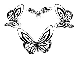 Image showing fancy butterflies