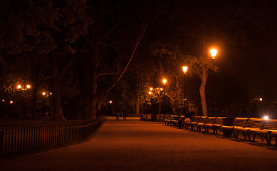 Image showing Night walk in a park