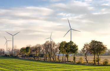 Image showing Windmills