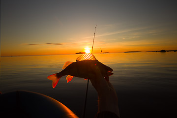 Image showing Sunset river perch fishing with the boat and a rod