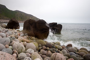 Image showing coast of the Barents Sea big round stones