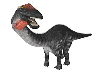 Image showing Dinosaur Apatosaurus