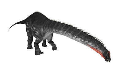 Image showing Dinosaur Apatosaurus