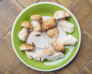 Image showing Porcini Mushroom