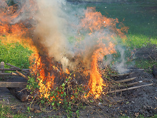 Image showing Burning fire