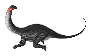 Image showing Dinosaur Apatosaurus