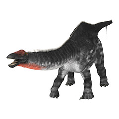 Image showing Dinosaur Apatosaurus