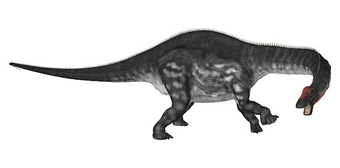 Image showing Dinosaur Apatosaurus
