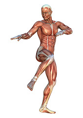 Image showing Muscle Maps