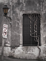 Image showing Window, Sign, Lamp and Tree