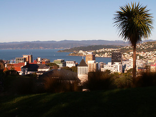Image showing Wellington View
