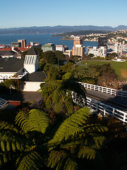 Image showing Wellington View Portrait