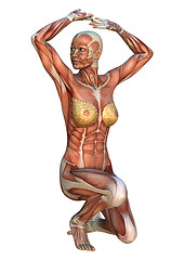 Image showing Muscle Maps