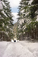 Image showing Snow Path