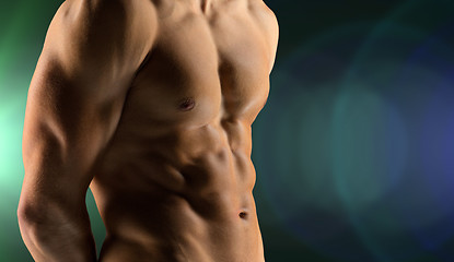 Image showing close up of male bodybuilder bare torso