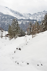 Image showing Winter Landscape