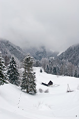 Image showing Misty Winter Scene