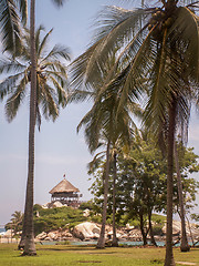 Image showing Tayrona Hut Through Palm Trees