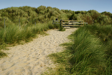 Image showing Gate on the Dunes