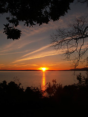 Image showing Sunset Tree Silhouette Frame