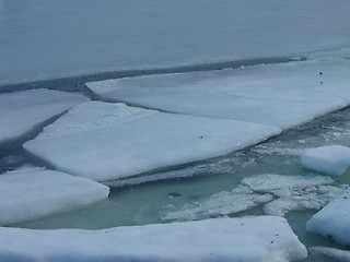 Image showing Ice floes