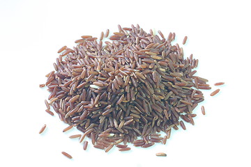 Image showing Wild red rice