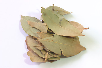 Image showing Dry laurel leaves