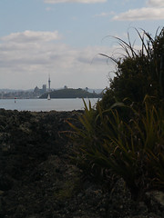 Image showing Sky Tower Framed By Volcanic Island