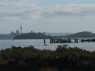 Image showing Sky Tower And Pier