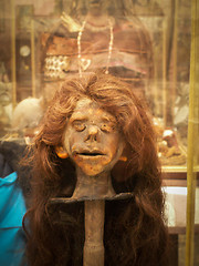 Image showing Shrunken Head