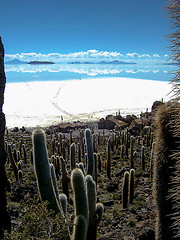 Image showing Salar de Uyuni from Fish Island